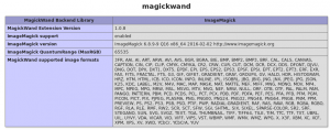 magickwand en plesk